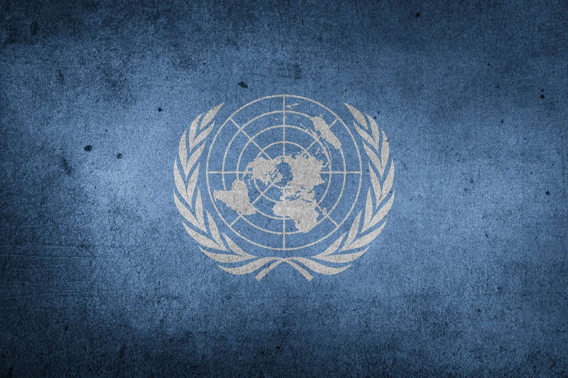 FN-logo på blå bakgrunn